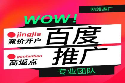某企业通过百度竞价推广代运营实现业绩大增的秘诀